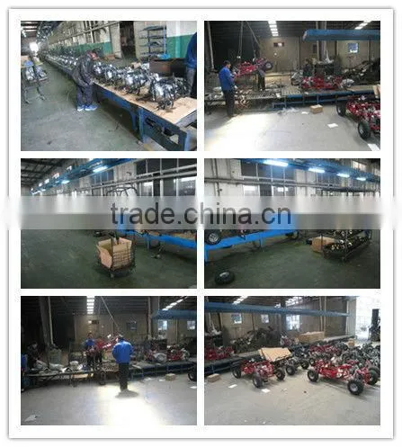 EEC 250cc CVT transmission Beach Buggy