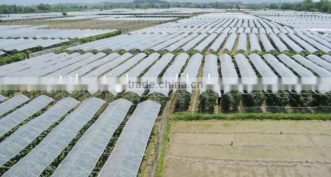 Anti UV Anti drip Anti aging PE Film Greenhouses for Vegetable