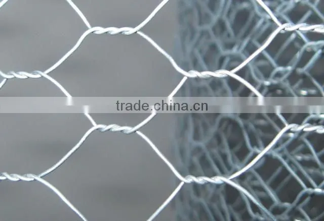 Direct Factory Welded Gabion Box Hexagonal Gabion Basket Galvanized Wire Cage Rock Mesh (Hebei Anping Manufacturer)