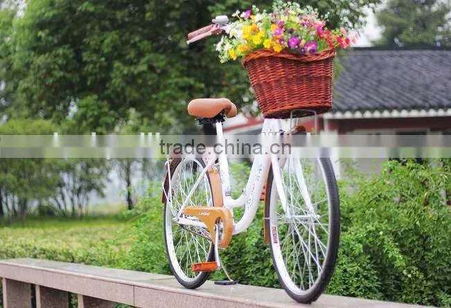 dog bike basket