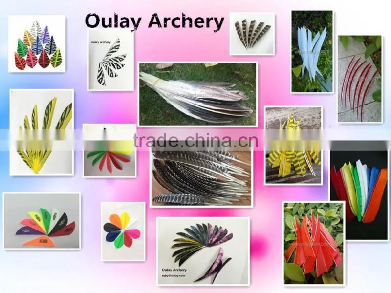 1.75" 2" 2.5" Parabolic TPU Plastic Vanes For Bow And Arrows