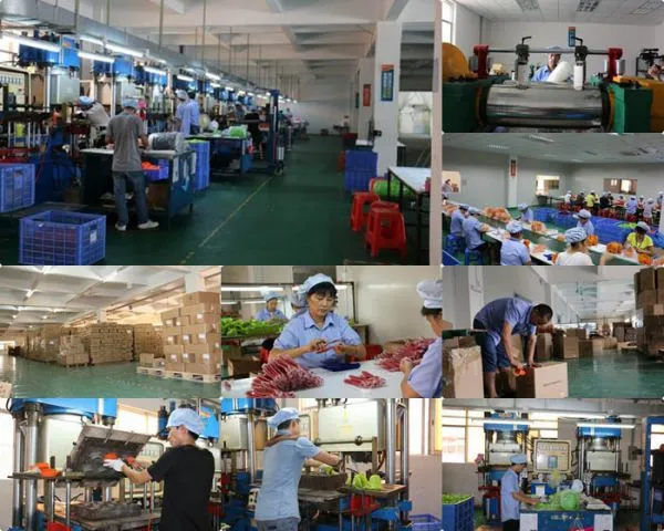 Huizhou Weiliys Technology Co., Ltd company overview - view 4