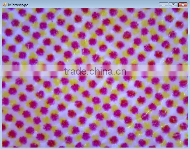 Shenzhen factory wholesale 600 times USB Portable Digital Microscope manufacturers