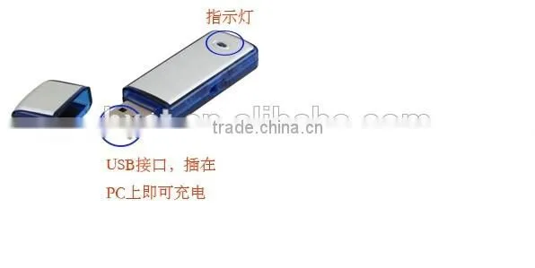 2 in 1 4GB USB Disk digital Voice Recorder Dictaphone Pen USB Flash Drive audio recorder in retail package