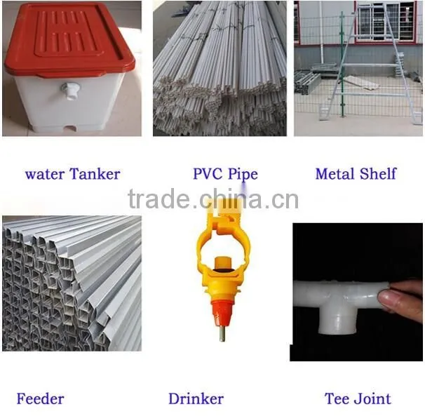 Cheap cage for growing broiler / broiler battery cage / broiler cage