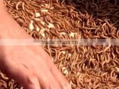 1.5KW Automatic Mealworm Multifunctional Separator