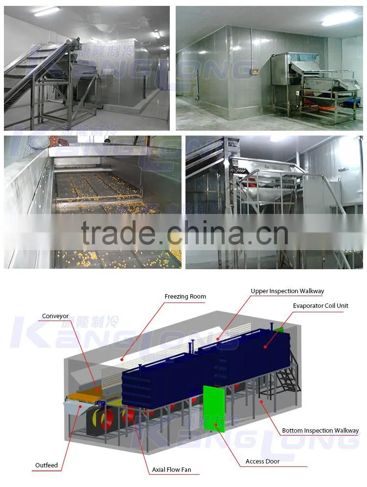 High Quality IQF Frozen Fruit Mango Machine With Good Price