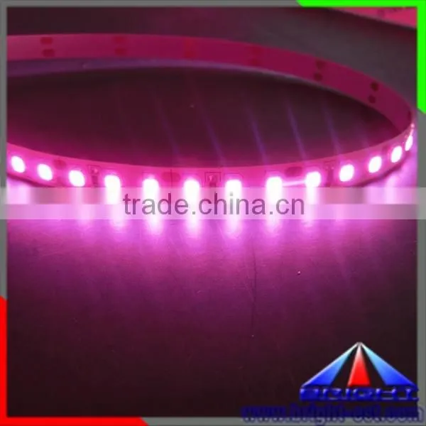 Pink Color LED Strip 2835,Led Light Strip Pink Colour