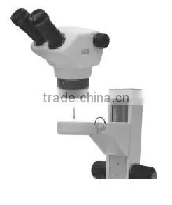 Series Zoom Stereo Microscope