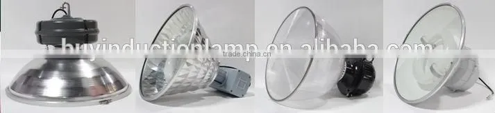 100w Hydroponic Growing Plant Induction Grow Lamp
