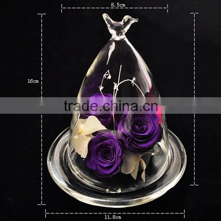 decorative glass dome for wedding,mini dome cloches