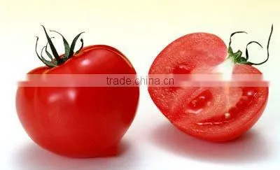 tomato Ketchup Tomato Sauce in PET bottle