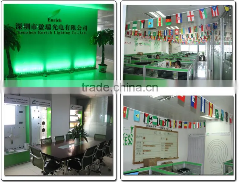 Fake Color Changing Led Cherry Blossom Tree Light with High Quality