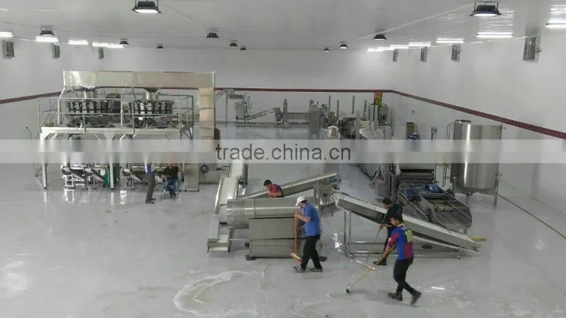 Potato chips machine/Chips machine/Potato chips making machine