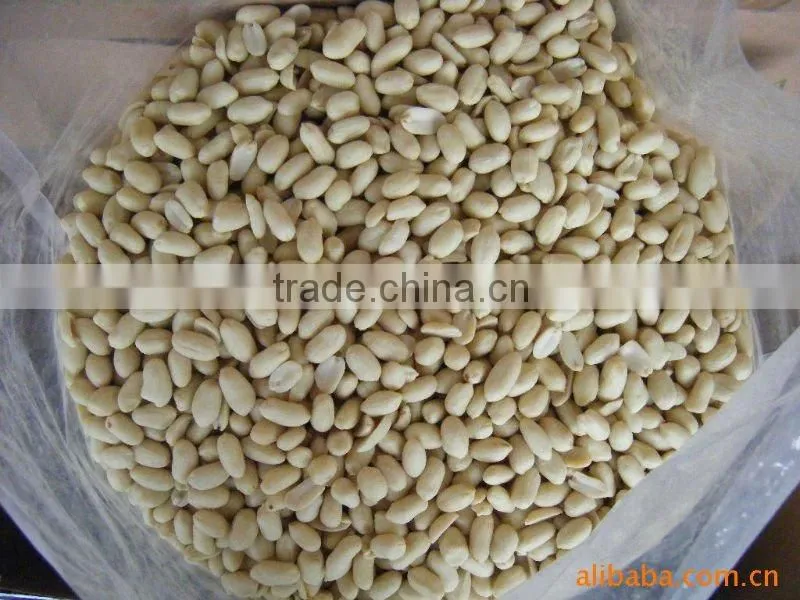 Chinese blanched peanut kernels