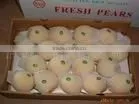china fresh ya pears