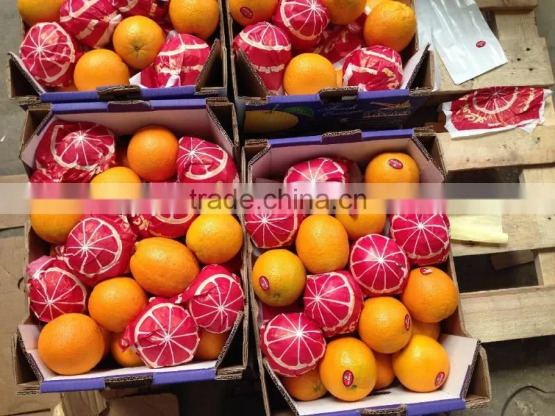 Pallets for Egyptian Oranges