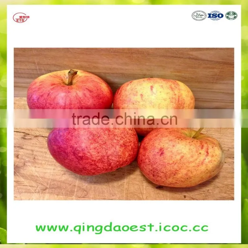 YanTai new season fresh sweet fuji apple