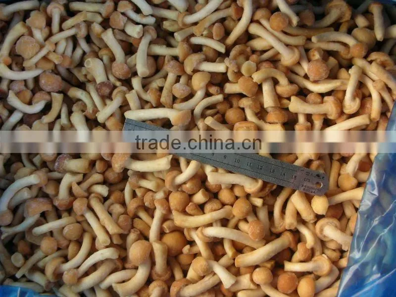Chinese IQF nameko