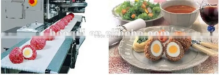 Plc Multifunction Automatic Encrusting Machine|Rheon Encrusting Machine