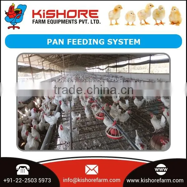 Automatic Pan Feeding System