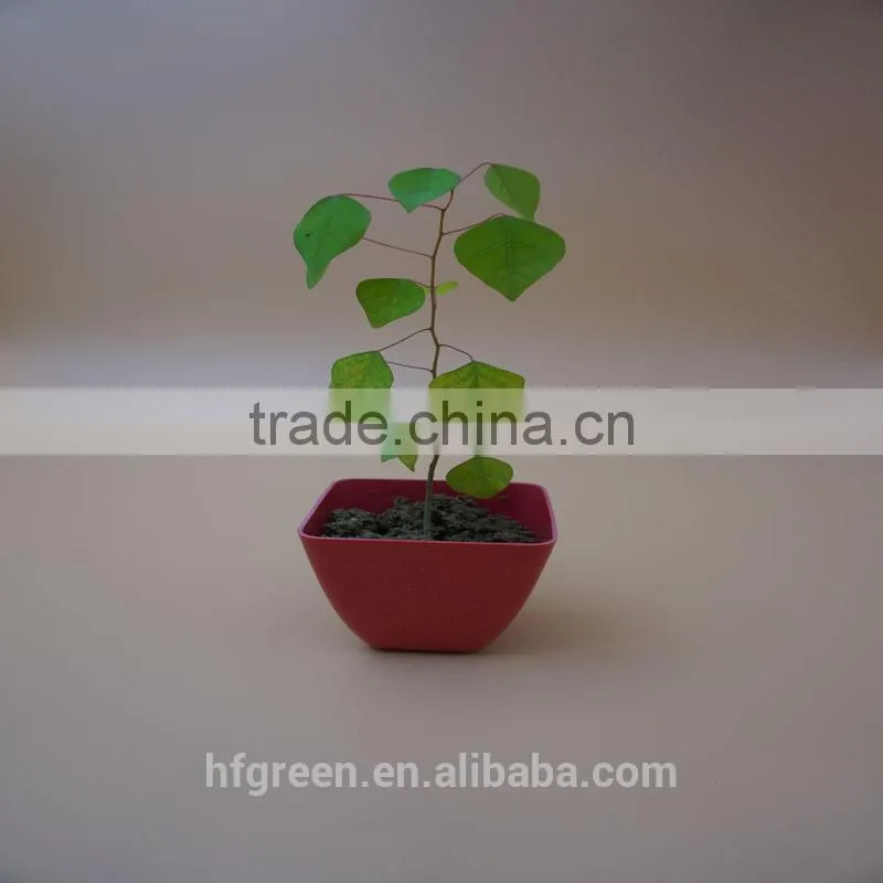 2015 Best selling square bamboo fiber mini flower pot/planter/container