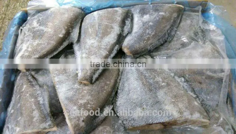 Frozen Seafood BLACK POMFRET OR BRAMA FILLET Frozen Fish
