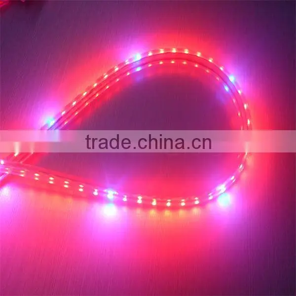 Waterproof SMD LED Strip Light led light stripe
