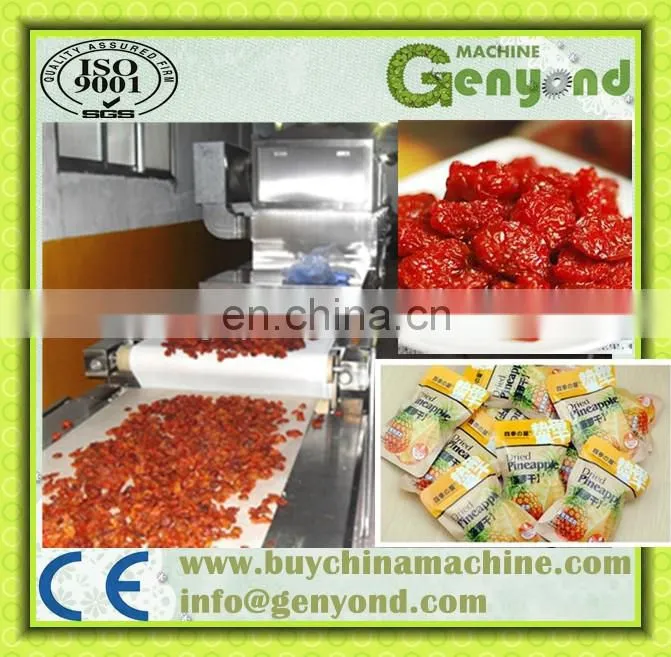 food tunnel dryer for drying fruit and vegetable