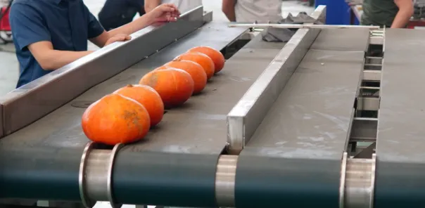 Pumpkin Fruit Processing Production Line Equipment Manufacturing, Pumpkin Pulp Processing Machinery, Pumpkin Juice Processing