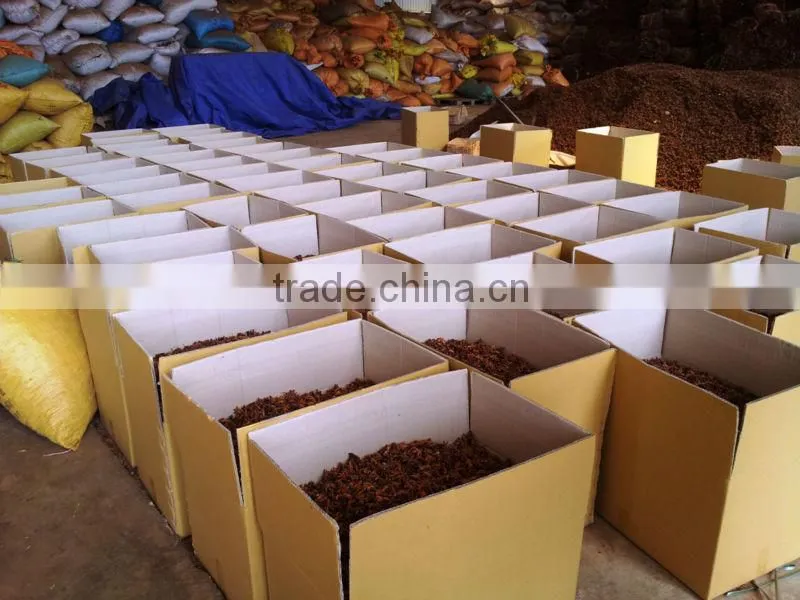 dried and clean star anise
