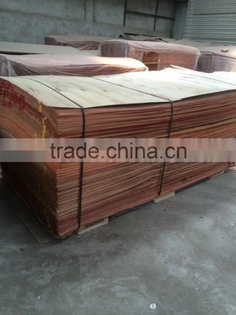 Water gum face veneer AB grade with best price Linyi factory professional manufactures