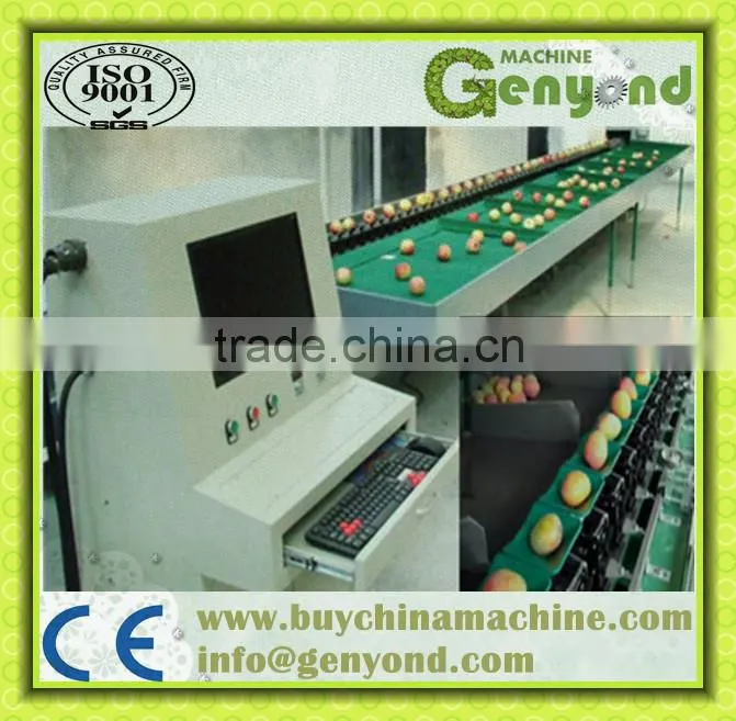 vertical fruit grading machine