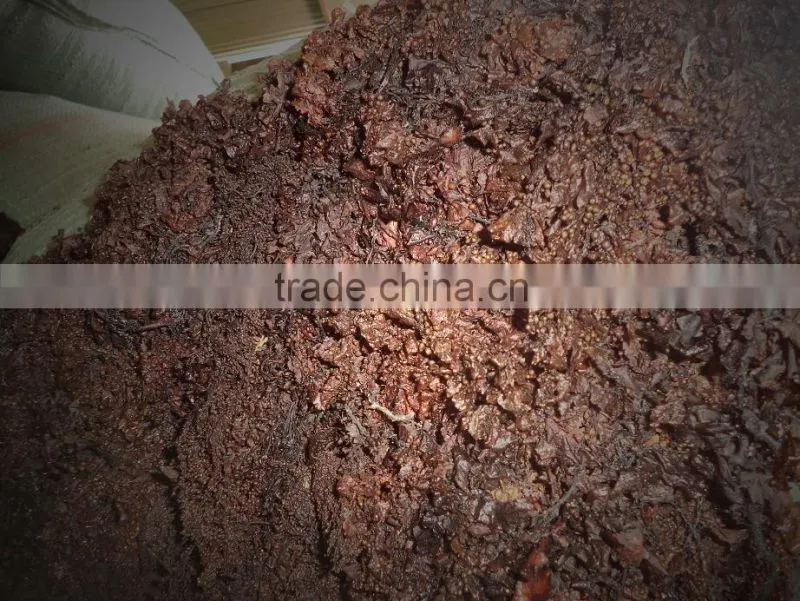 Dried SARGASSUM used for fertilizer (BROWN SEAWEED)
