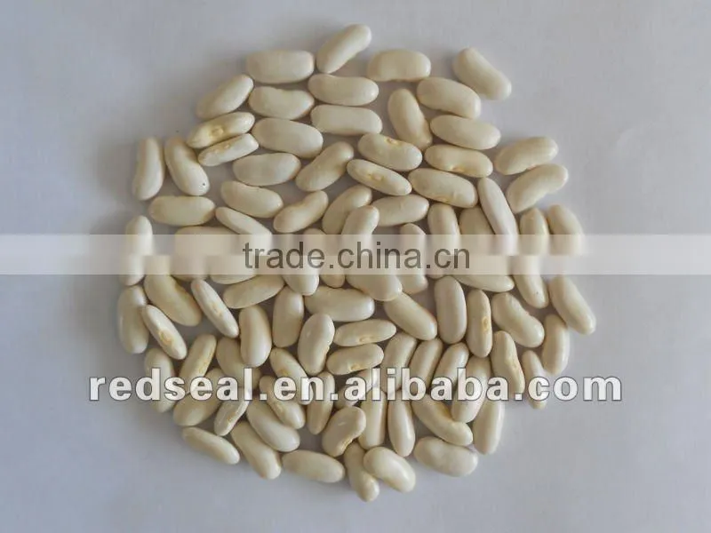 Yunnan Organic white kidney beans