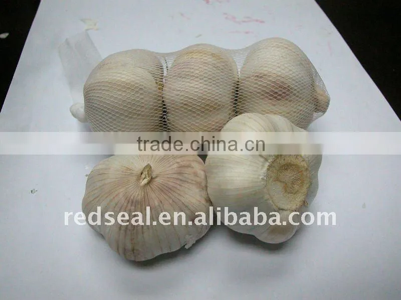 New crop fresh garlic(white skin,red skin,pure white)