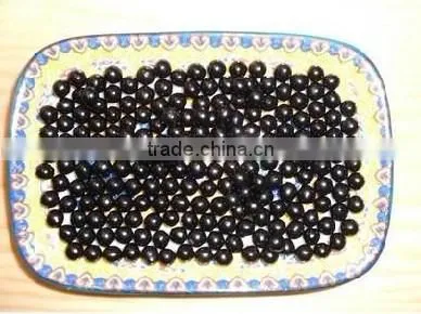 Hot selling small type powder pill making machine