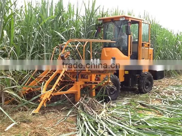 6BZ-5 Mini sugarcane machine leaf cutter easy operation sugarcane leaf remove