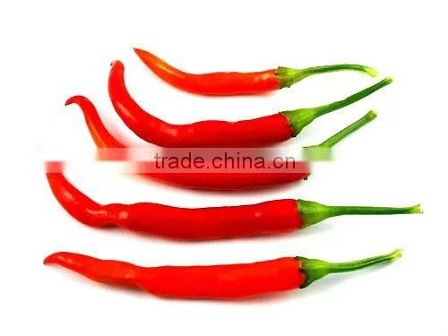 Indian Oleoresin Capsicum by AOS