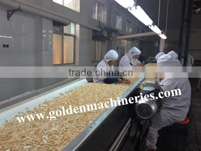 Motor Driven Stainless Steel Peanut Sorting Belt PVC Manual Sorting
