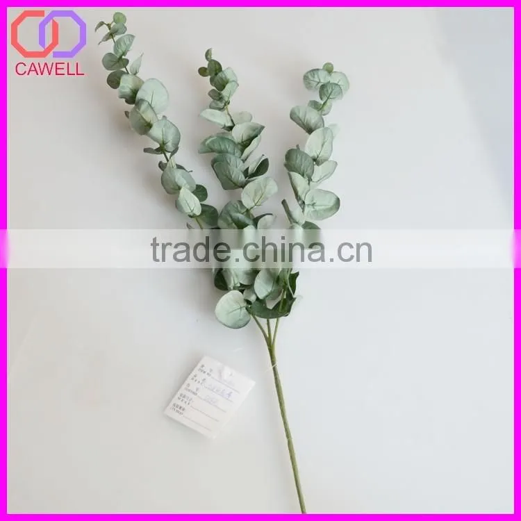 wholesale medjool dates