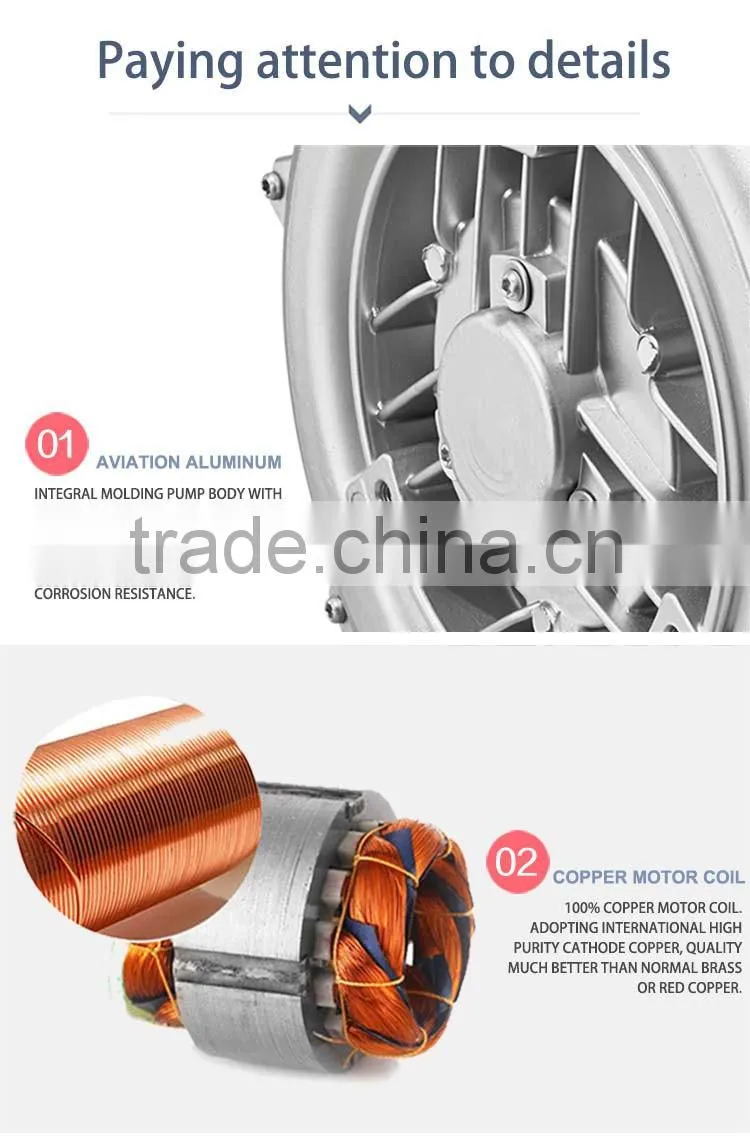 portable Single stage single phase 4GH Series side channel blower