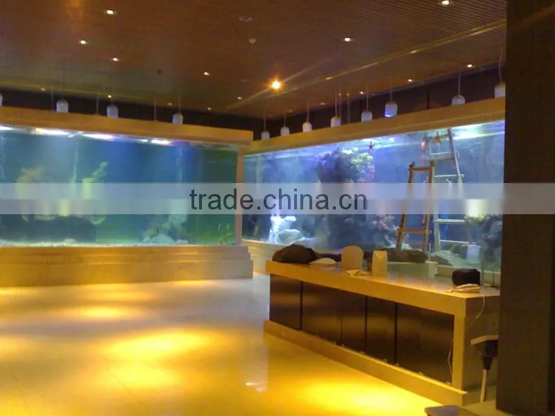 Modern Outdoor Marine Aquariums