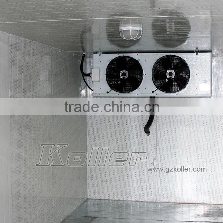 Koller hot sale small capacity cold storage room with refrigerators for fruits VCR20