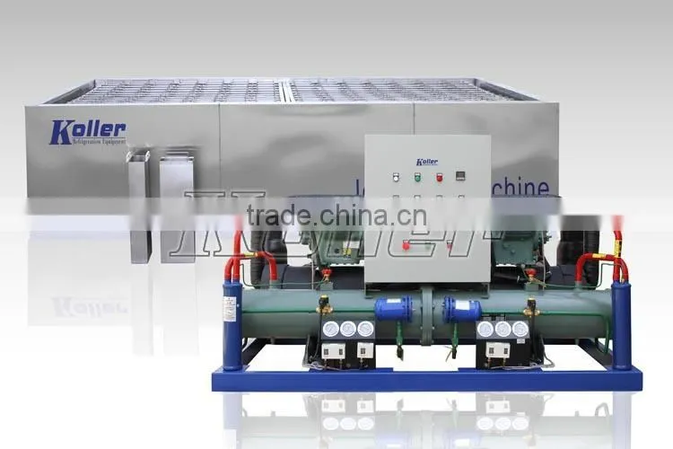 Ten tons Tropical Design Ice Block Maker