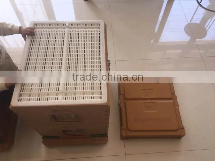 plastic hive , beehive for sale