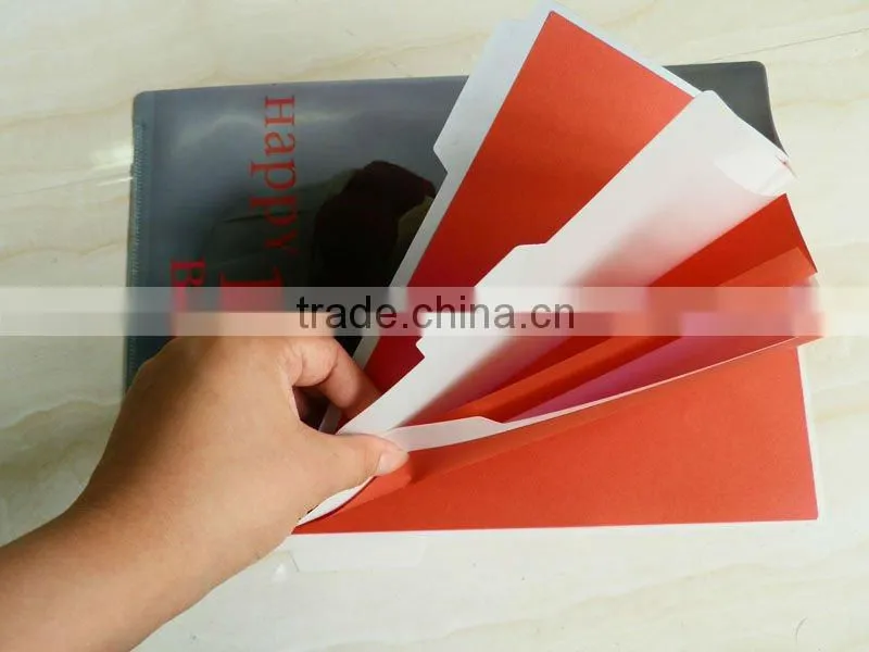 A4 size Plastic File Organizer