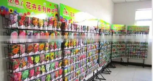 Garden or Flower Seeds Pole Display Rack