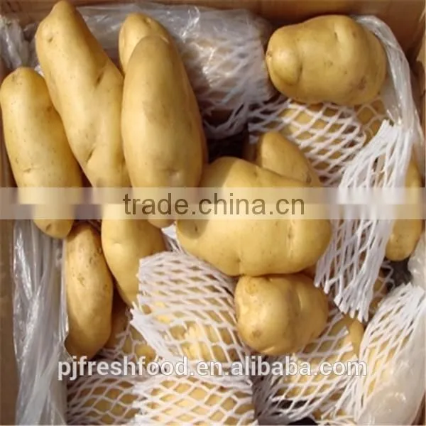 2015 Autumn Crop Potato