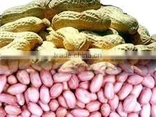 chiness peanut kernel